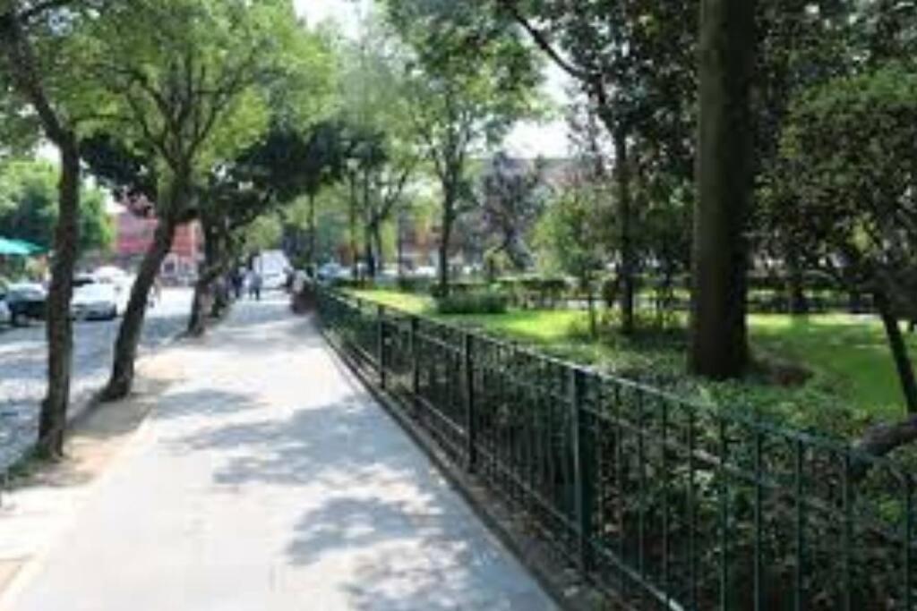 墨西哥城Departamento Completo En El Centro De Cdmx公寓 外观 照片